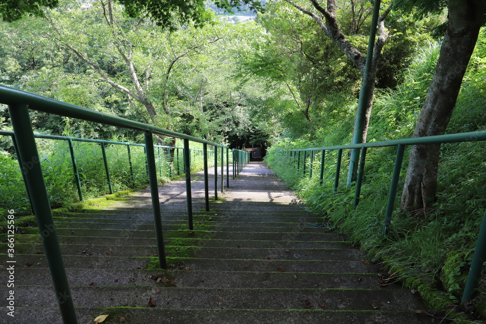 Obraz premium 長い階段2