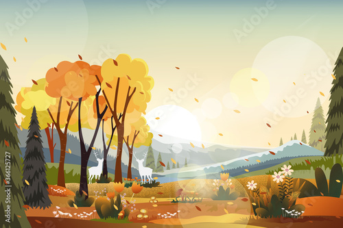 Fantasy panorama landscapes of Countryside in autumn,Panoramic of mid autumn with farm field, mountains, wild grass and leaves falling from trees in yellow foliage. Wonderland landscape in fall season