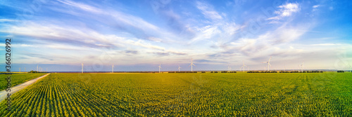 Wind power plant in the green field against cloudy sky panoramic