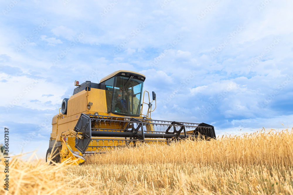 Fototapeta premium grain collection through mealic processes and in the light of the day..