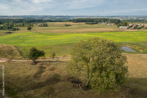 Obraz na płótnie View of the fields (typical landscape near Suwalki) from the observation tower in Baranowo, Podlaskie, Poland w salonie