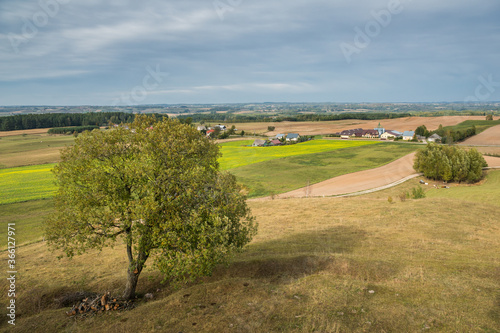 Obraz na płótnie View of the fields (typical landscape near Suwalki) from the observation tower in Baranowo, Podlaskie, Poland w salonie