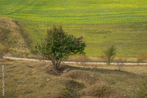Obraz na płótnie View of the fields (typical landscape near Suwalki) from the observation tower in Baranowo, Podlaskie, Poland w salonie