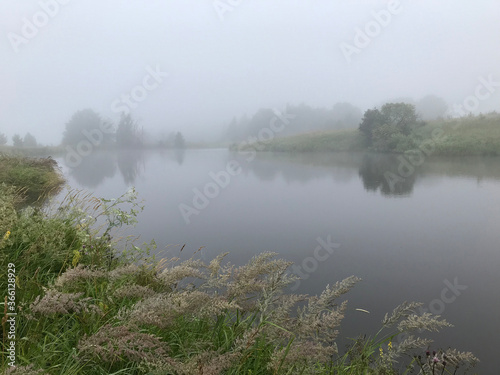 Morning fog on lake. Summer landscape, nature