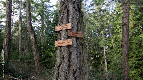 Sign post in the woods