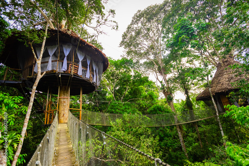 One of the tree houses at the Tree House Lodge in the Amazon Jungle, Peru