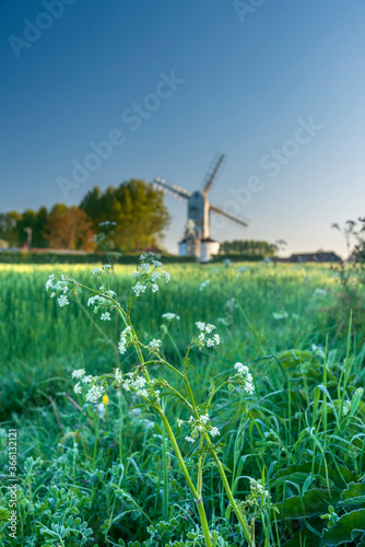 Saxtead Green Windmill, post mill design, Saxtead Green, Suffolk photo