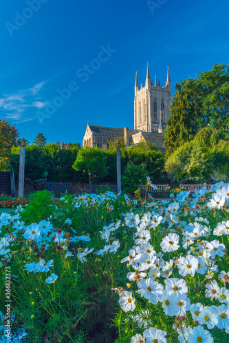 St. Edmundsbury Cathedral from the Abbey Gardens, Bury St. Edmunds, Suffolk photo