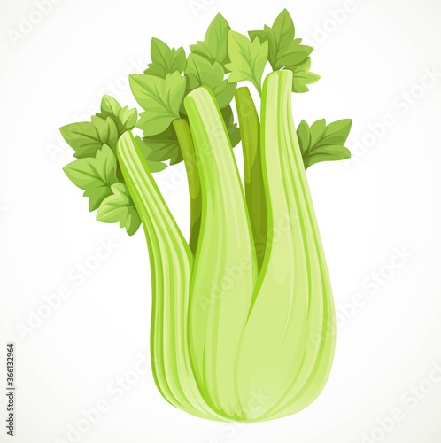 Stem of juicy celery isolated on white background