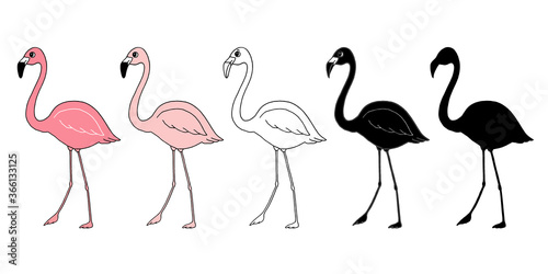 Set of various flamingos, isolated on white background. Good for card, t-shirt design, fabric print, decoration, etc. Hand-drawn vector illustration.
