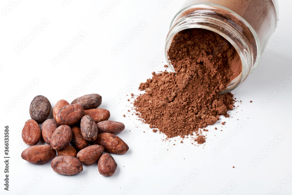Cocoa Beans and Jar of Cocoa Powder on White Background. Cocoa Beans and Jar of Cocoa Powder on White Background.
