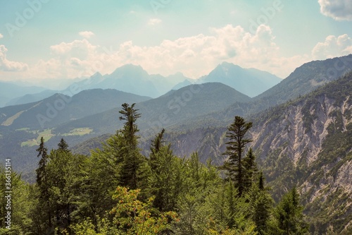 beautiful landscape in summer  with view to Berchtesgaden alps photo