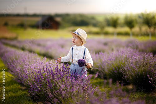 Little boy walking on a lavender field. In a stylish hat.