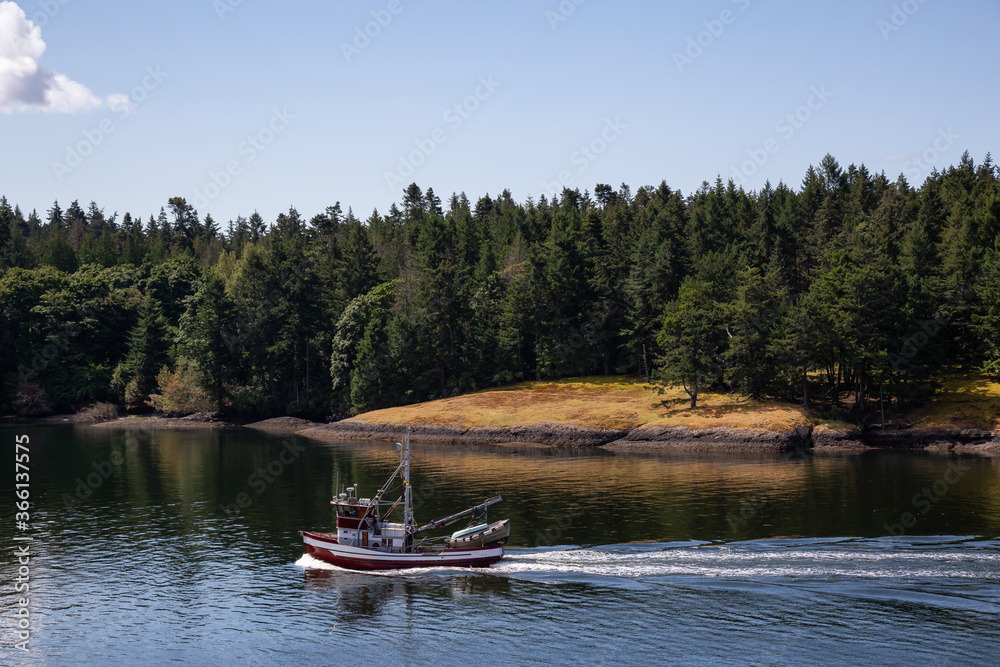Obraz premium View of Beautiful Gulf Islands during a sunny day. Located near Mayne and Vancouver Island, British Columbia, Canada. Nature Background