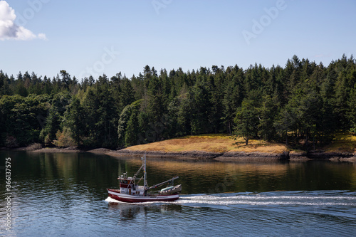 View of Beautiful Gulf Islands during a sunny day. Located near Mayne and Vancouver Island  British Columbia  Canada. Nature Background