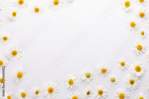Summer flowers background.Chamomiles or daisy flowers on white background.Top view. © Olga_arisphoto