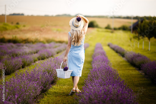 Fototapeta Naklejka Na Ścianę i Meble -  Blonde girl on a lavender field in a straw hat and blue dress.