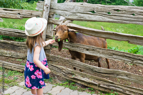 enfant avec une chèvre