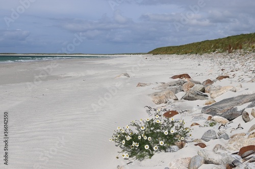 beach and sea, |South Uist, Scotlnad photo