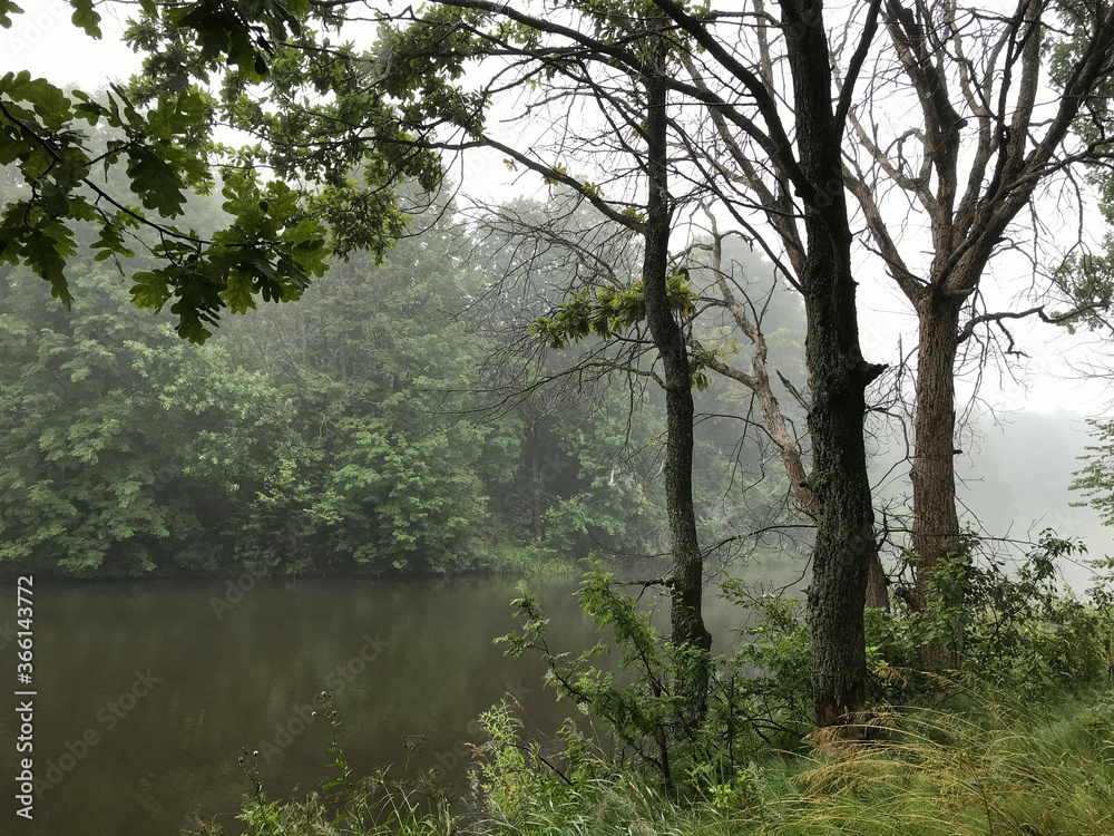 Morning fog on wild forest lake. Environment