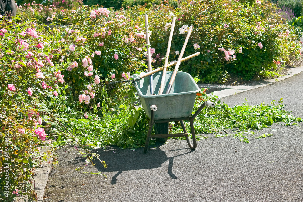 A gardener's wheelbarrow, work in the garden