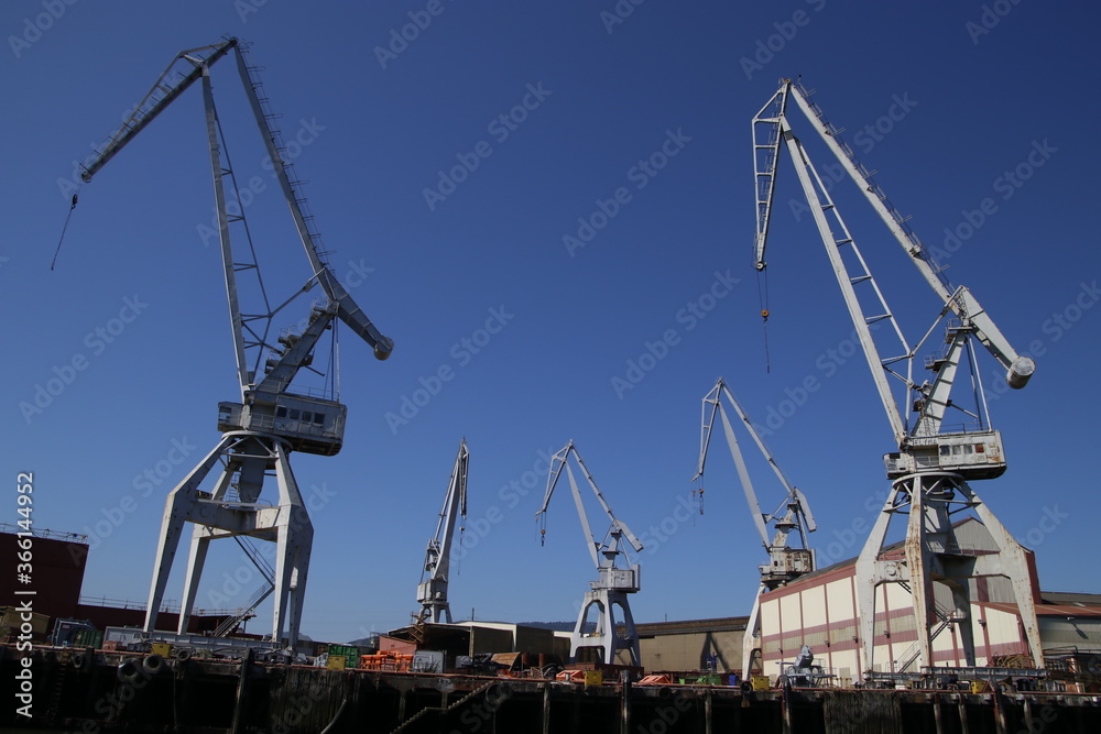 Crane in the estuary of Bilbao