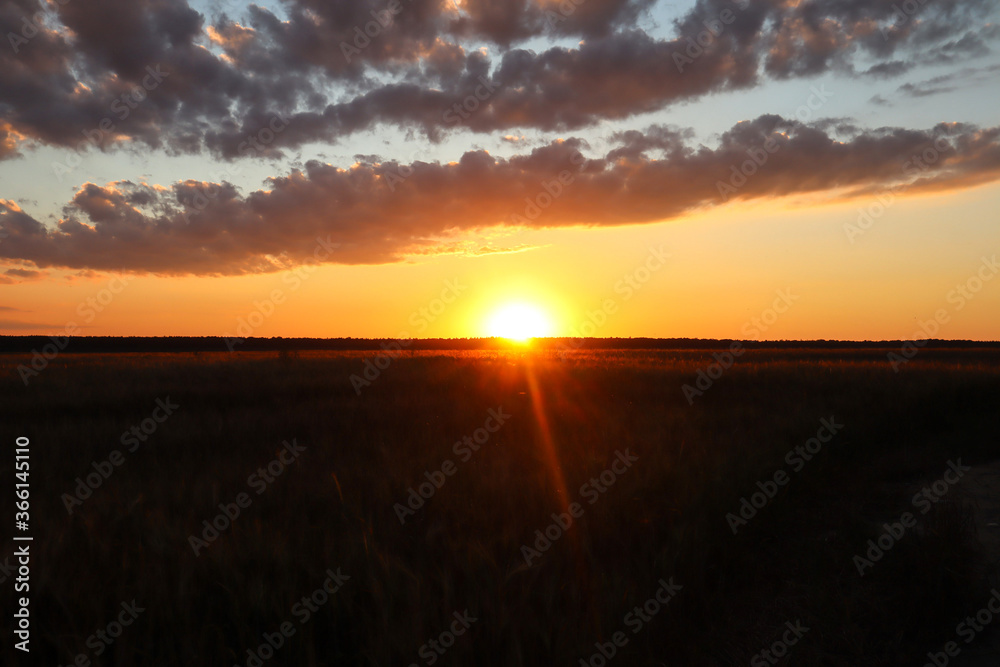 The sun goes to rest over a field of barley, landscape