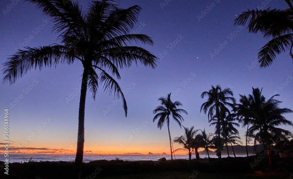 USA, Hawaii, O'ahu, Kailua Beach, Silhouette of palm trees at sunset USA, Hawaii, O'ahu, Kailua Beach, Silhouette of palm trees at sunset