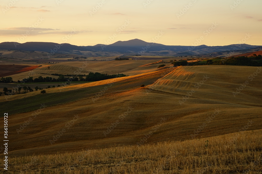 First rays of sun in a summer sunrise over Val d'Orcia hills, Tuscany, Italy