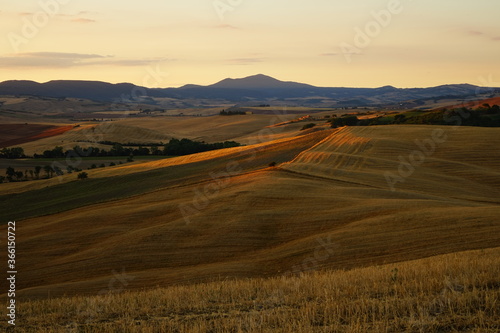 First rays of sun in a summer sunrise over Val d'Orcia hills, Tuscany, Italy