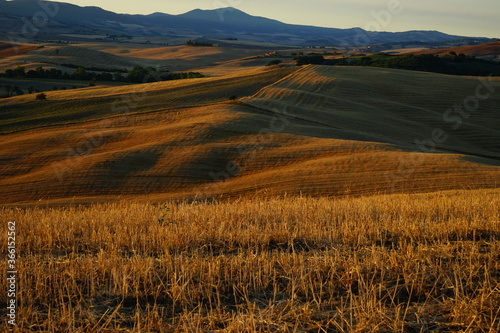 First sunrise rays over the sweet hills of Val d Orcia  Tuscany  Italy