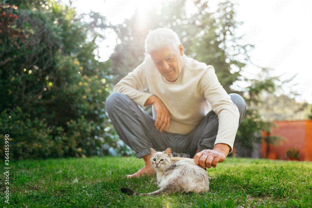 Senior man brushing cat in garden