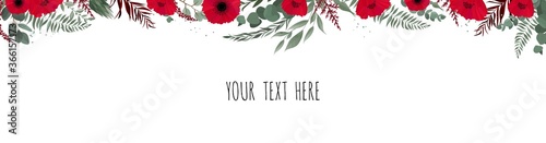 Horisontal botanical vector design banner. Eucalyptus, succulents, flowers, greenery. Natural spring card or frame.