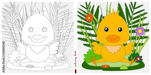 Black-and-white and color images for a color book. Outline drawing with children's themes. A chicken is sitting in a clearing among flowers and ferns. For color books, children's prints, postcards.