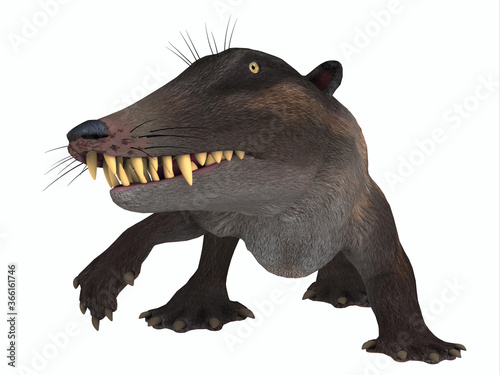 Εκτύπωση καμβά Ambulocetus Mammal on White - Ambulocetus was the primitive otter-like ancestor of the whale and lived in Pakistan and India during the Eocene Period