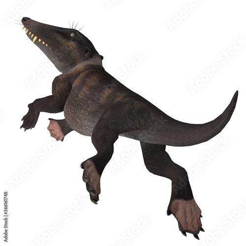 Slika na platnu Ambulocetus natans Mammal - Ambulocetus was the primitive otter-like ancestor of the whale and lived in Pakistan and India during the Eocene Period