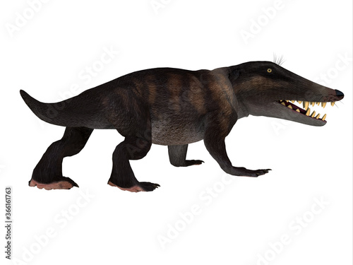 Fotografie Ambulocetus Walking Whale - Ambulocetus was the primitive otter-like ancestor of the whale and lived in Pakistan and India during the Eocene Period