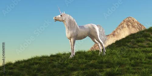 Unicorn Stallion - A magical white Unicorn stallion stands majestically on a hilltop gathering his herd to follow him.