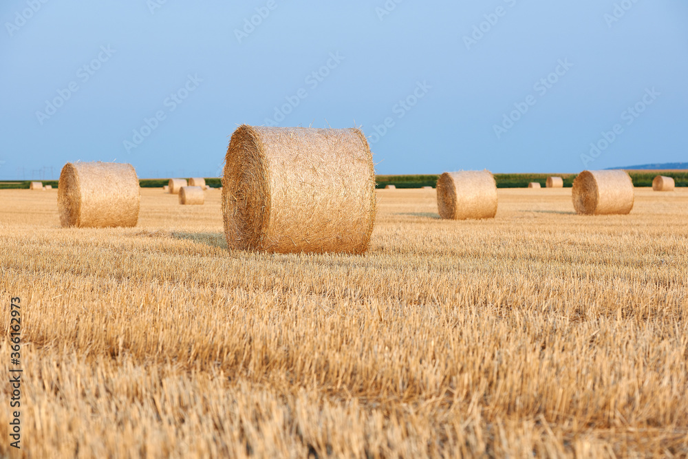 bales of straw