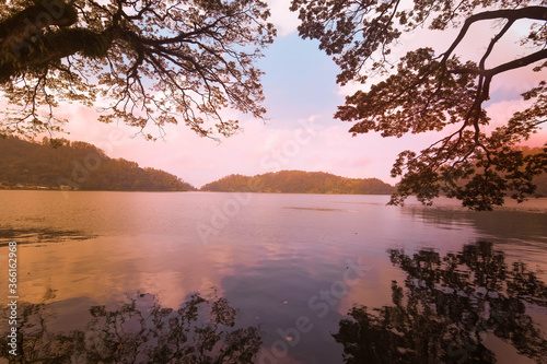 The beauty of the Ngebel Lake with its shady trees becoming a shadow in the water in Ponorogo, East Java, Indonesia photo