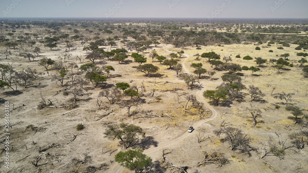 Aerial view of off-road vehicle amidst trees in semi-arid desert Aerial view of off-road vehicle amidst trees in semi-arid desert