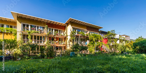 Germany, Baden-Wurttemberg, Freiburg im Breisgau, Lawn in front of houses in modern suburb
