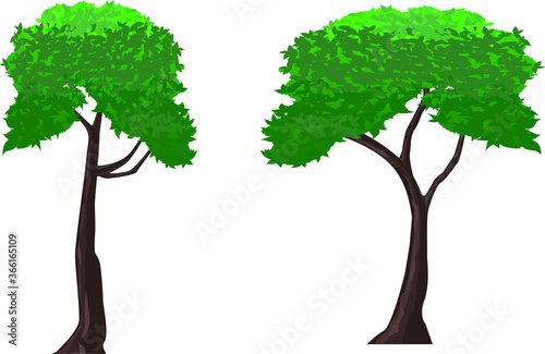 tree with green leaves