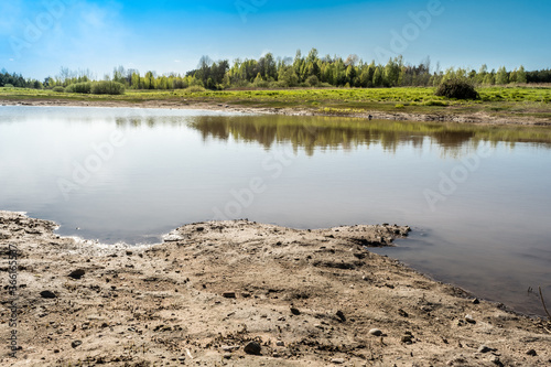 drying out pond in a forest glade, natural landscape in summer
