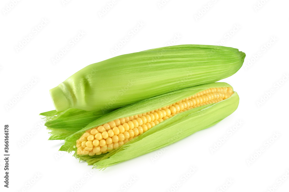 Fresh corn cobs with green leaves isolated on white background Fresh corn cobs with green leaves isolated on white background