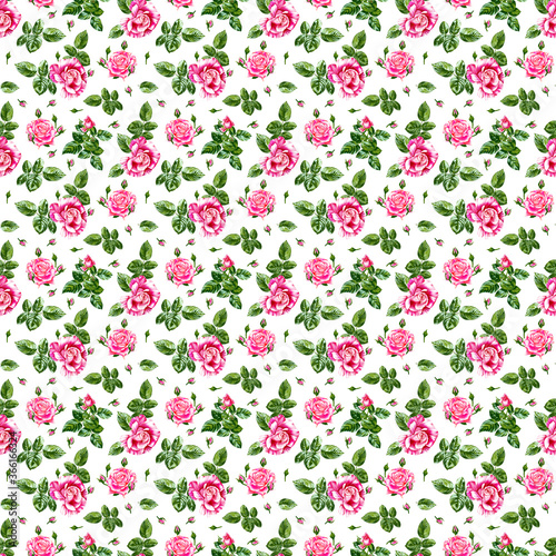 Seamless pattern with pink roses, green striped leaves, rosebuds, twigs. Highly detailed endless botanical illustration.