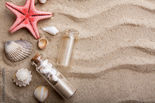 Flat lay starfish and shells on the sand. The concept of summer vacation at sea
