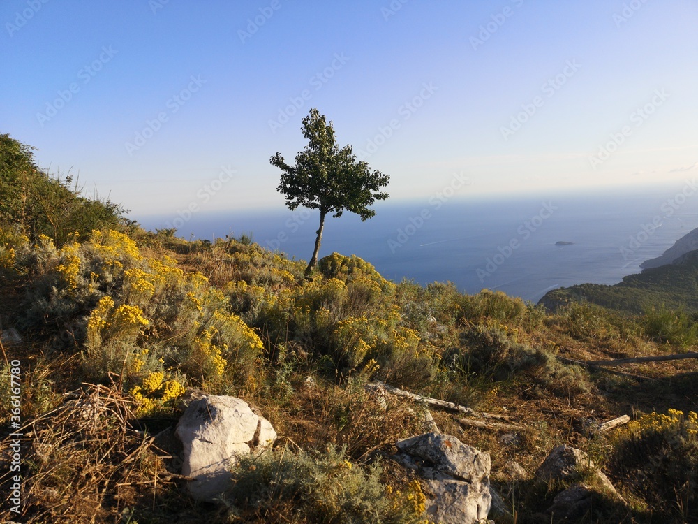 Fotka „Un panorama montuoso. Una cartolina della penisola sorrentina