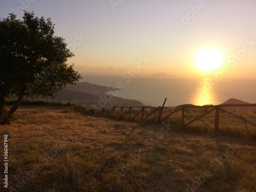 Quadro su tela albero e Un panorama all'imbrunire
