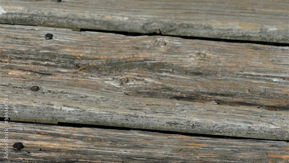 Moving over old weathered boardwalk Moving over old weathered boardwalk